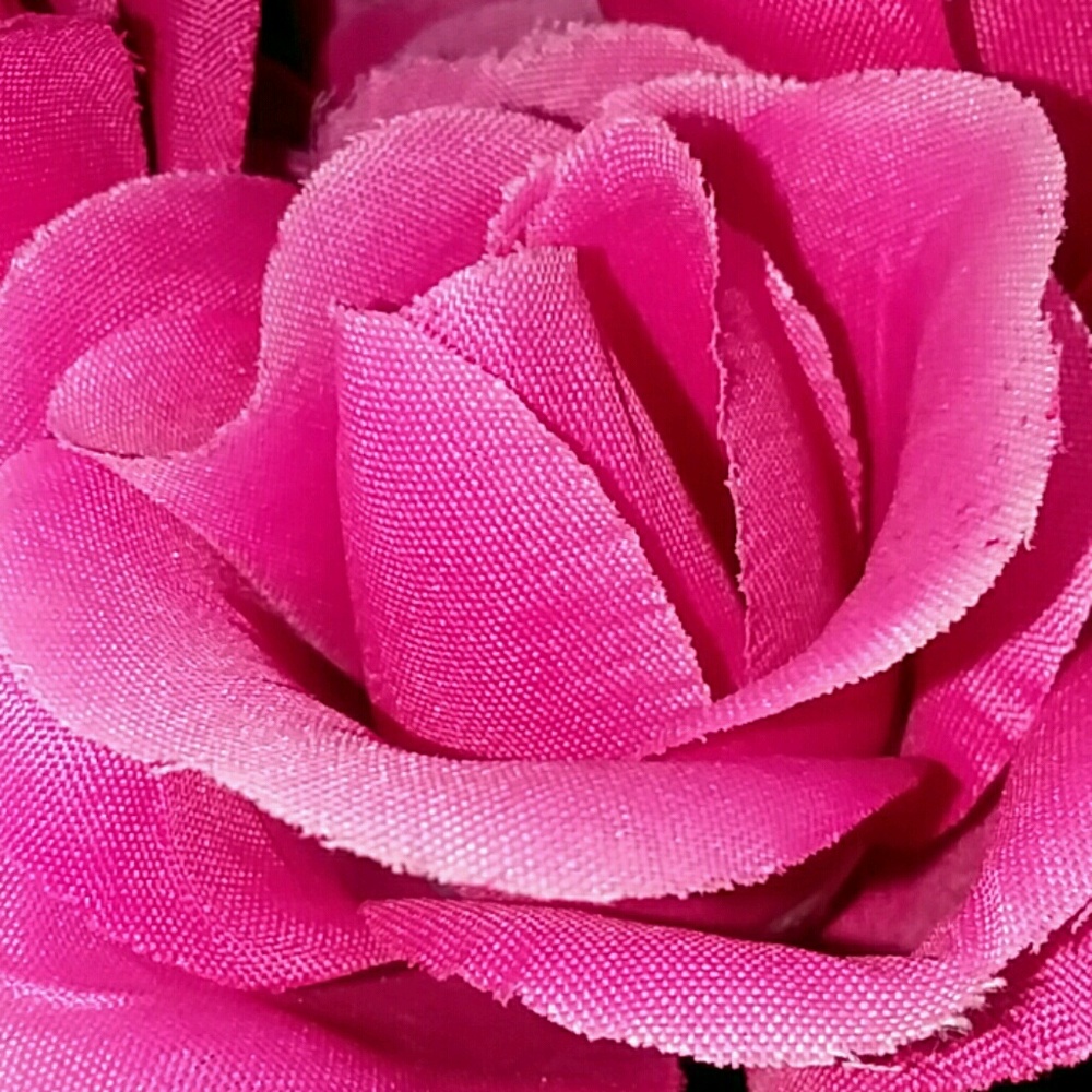 Meet your Posher, Beatrice